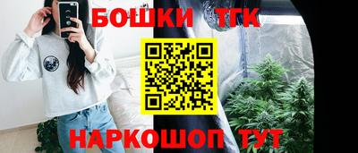 сатива Камышлов