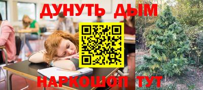 сатива Камышлов