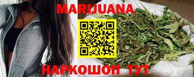 сатива Камышлов