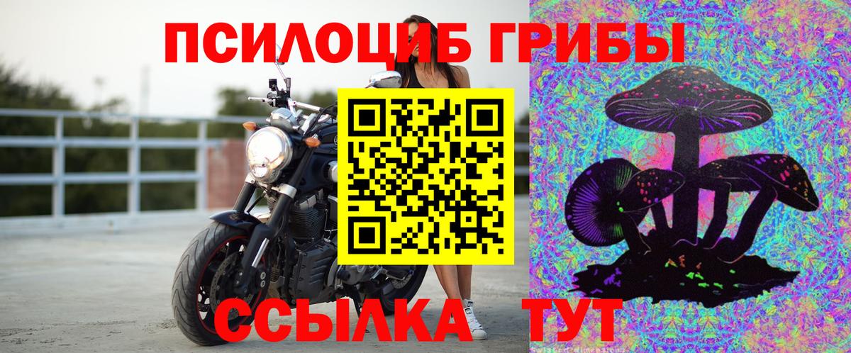 Псилоцибиновые грибы MAGIC MUSHROOMS  Вход с VPN  Куйбышев 